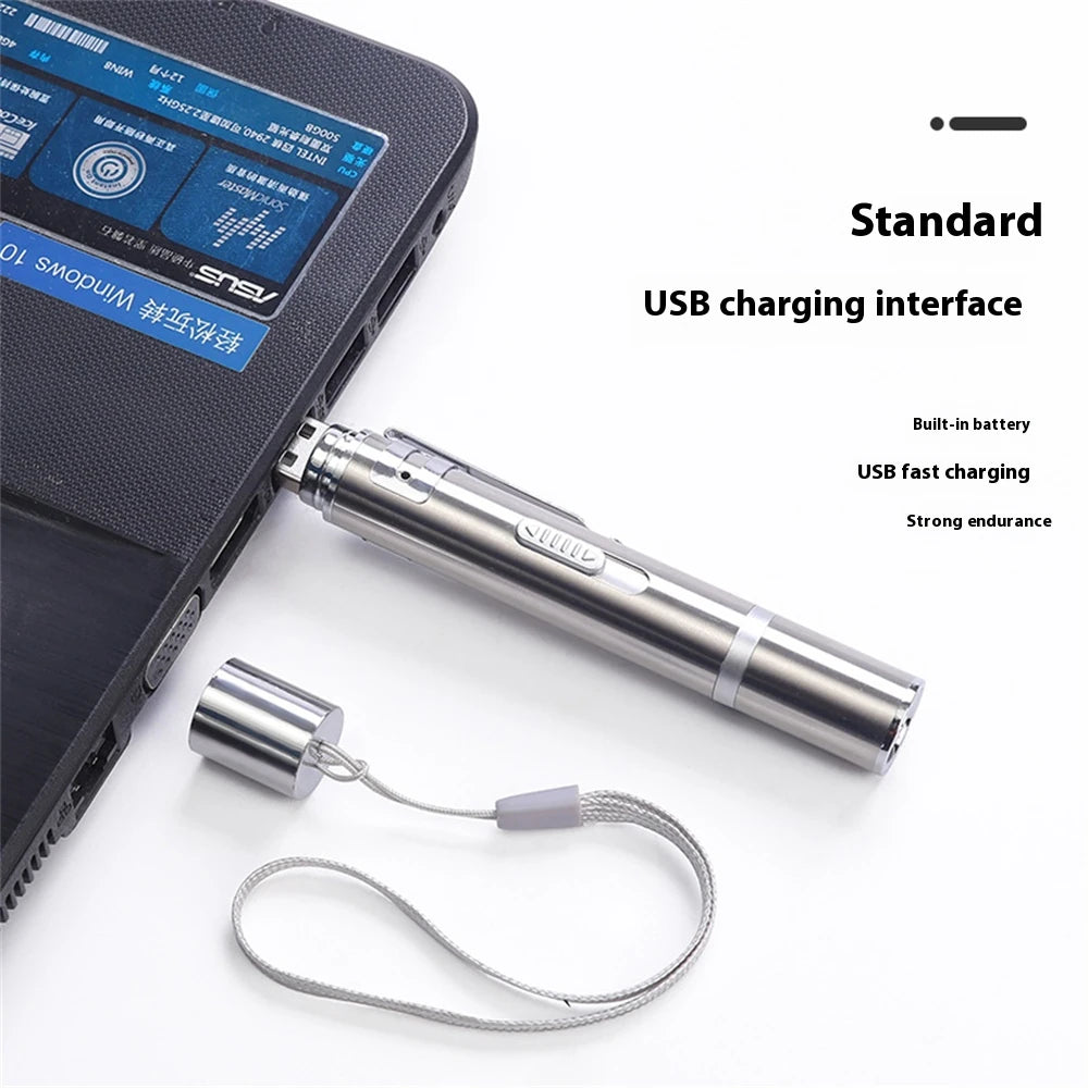  Cat Teaser Stick + USB Rechargeable